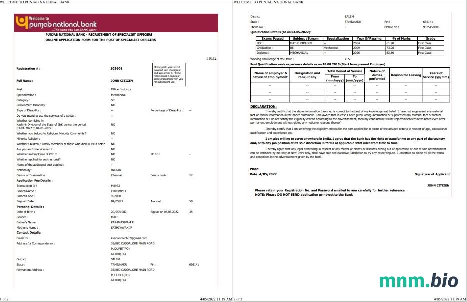 India Punjab national wyciąg bankowy szablon Worda i PDF, 2 strony, Wersja 2